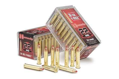 .22 Caliber Ammo Image 3