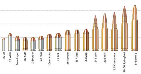 .22 Caliber AR Bullet Types