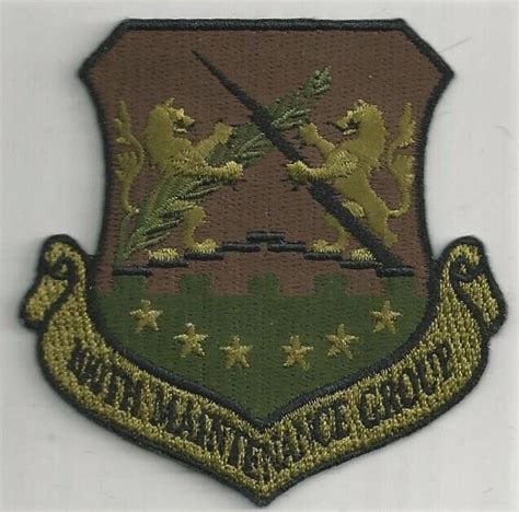 100th Air Group patch