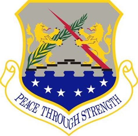 100th Air Group patch