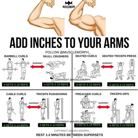 Workout Plan for 19 Inch Arms