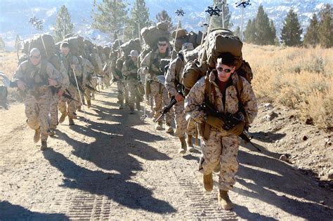 1st Battalion 2nd Marines training exercises