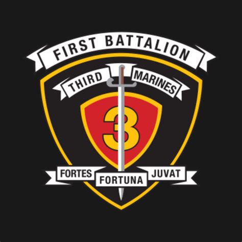 1st Battalion 3rd Marines Legacy