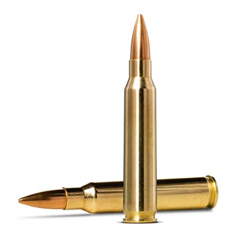 .223 Remington Cartridge