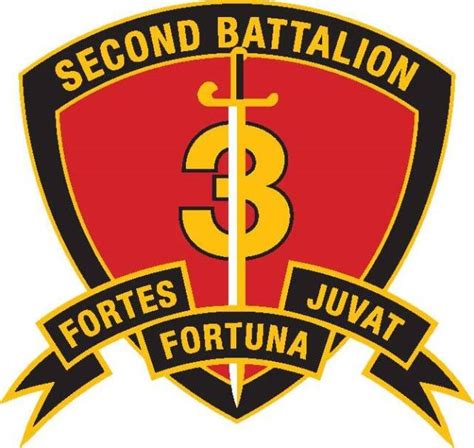 2nd Battalion 3rd Marines Legacy