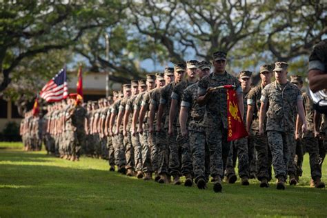 A Marine from the 2nd Battalion, 3rd Marines, wearing the unit's iconic emblem