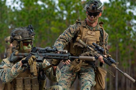 Marines from the 2nd Battalion, 3rd Marines, during a training exercise