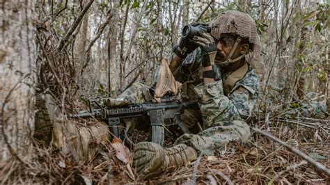 Marines from 2nd Battalion, 7th Marines during a training exercise