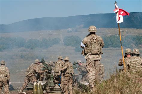 2nd Cavalry Regiment Operations