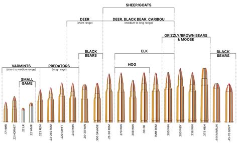 A ballistic chart showing the.30 Carbine's trajectory