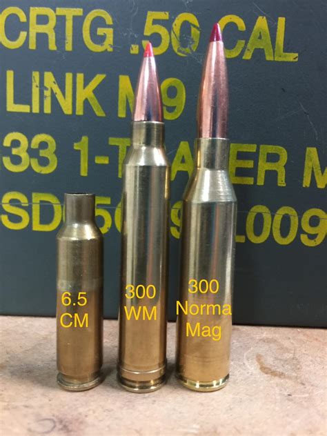 300 Norma Mag Bullets