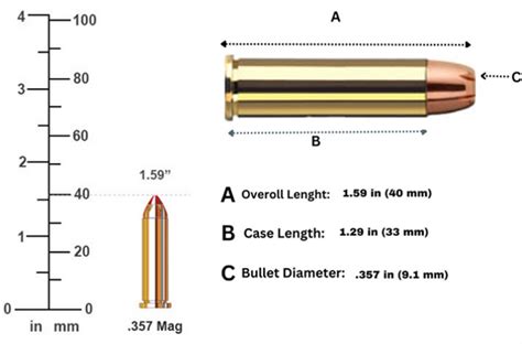 .357 Magnum bullet size comparison