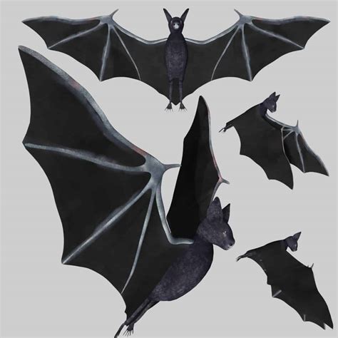 A 3D bat design pumpkin carving template