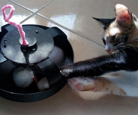 3D Cat Toys