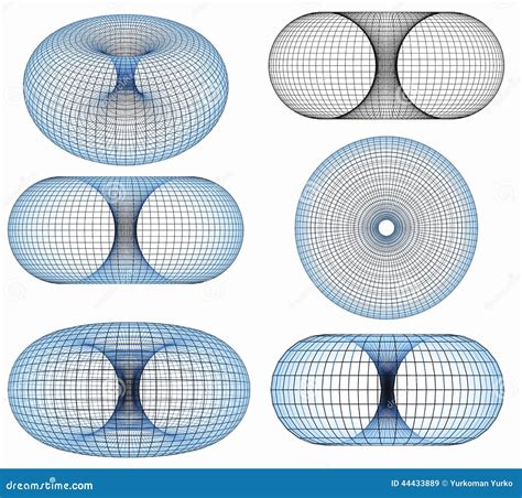 Torus 3D Net