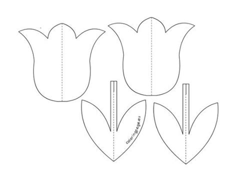 3D Tulip Template Free Download