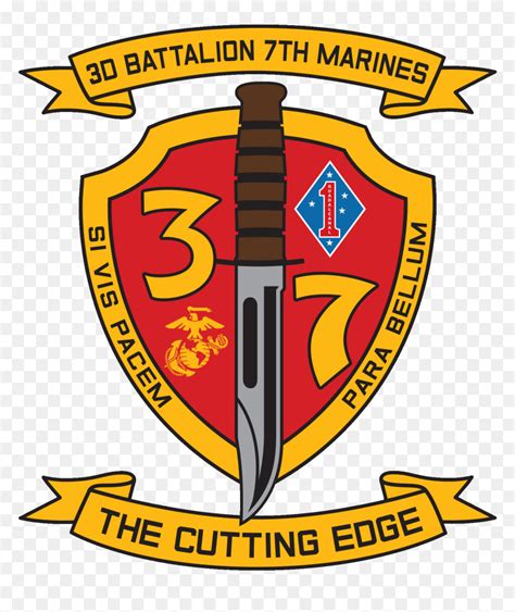 3rd Battalion 7th Marines actions