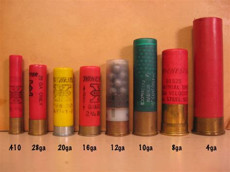 4 Bore Shotgun Shell