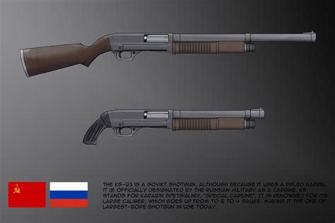 4 gauge shotgun modifications