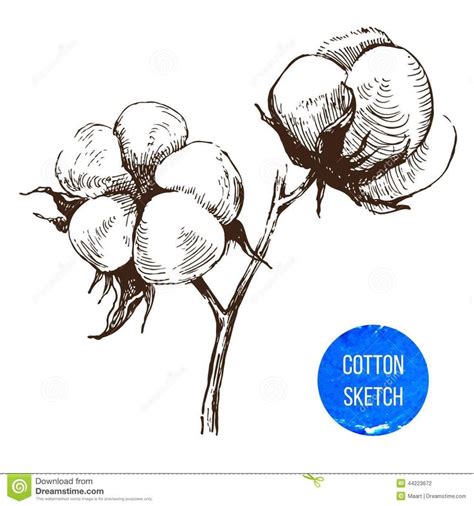 5 Essential Cotton Drawing Tips