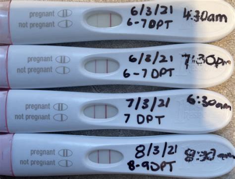 5-Day IVF Transfer Calculator