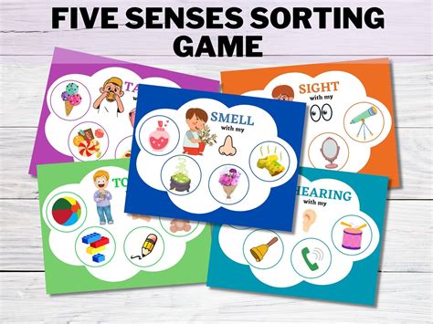 Mr. Potato Head with 5 senses sorting game