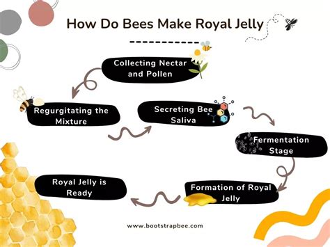 5 Tips to Make Royal Honey Packets Last Longer