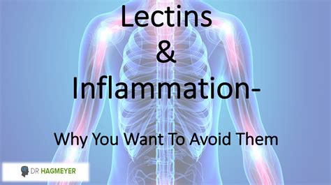 5 Ways Lectins Cause Inflammation