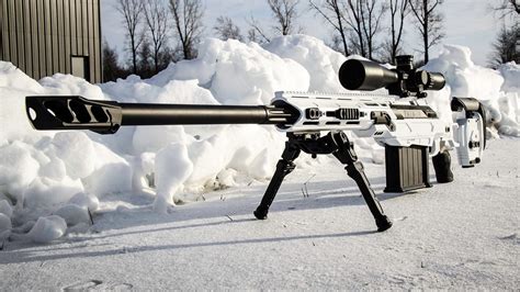 50 cal bmg air rifle power and precision unleashed