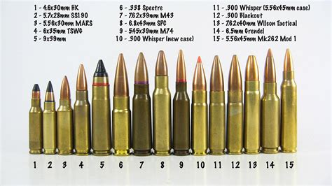 50 Cal Bullet Length Comparison