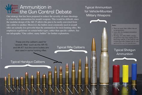 Standard Length 50 Cal Bullet