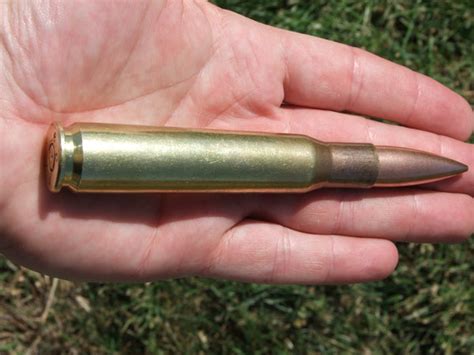 Image of a.50 caliber bullet's hunting applications