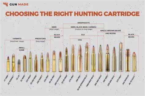 Image of a.50 caliber bullet hunting applications