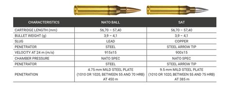 5.56 Ammo Ballistic Performance