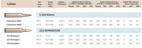 5.56 Ammo Range Estimation