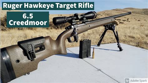 6.5 Creedmoor target shooting