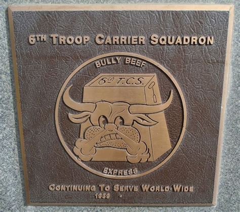 6th Troop Carrier Squadron combat