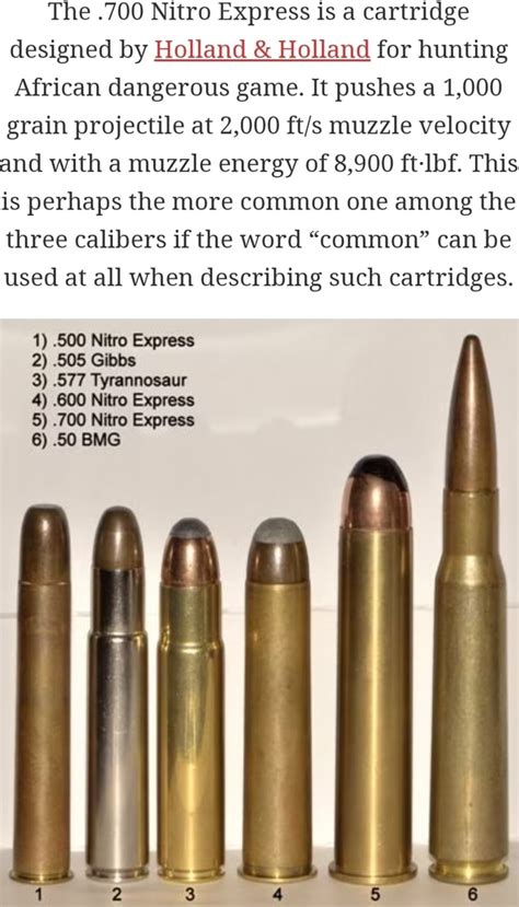 700 Nitro Express Specifications