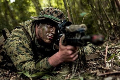 Marines of the 1st Battalion 7th Marines during a training exercise