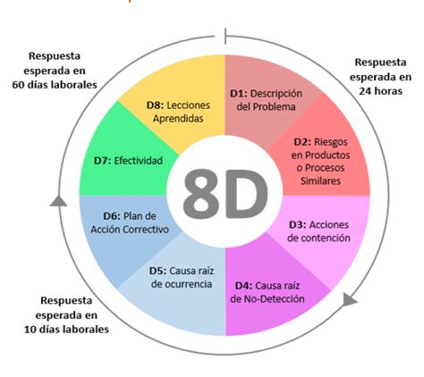 8D Disciplines Image