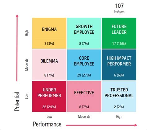 9 Box Template Excel Talent Management