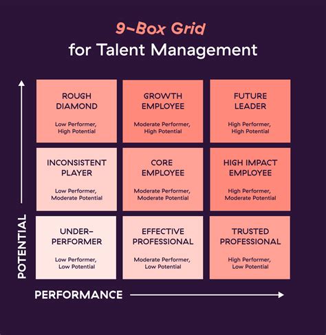 9 Box Grid Template Talent Management