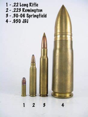 950 JDJ vs 50 BMG cartridges