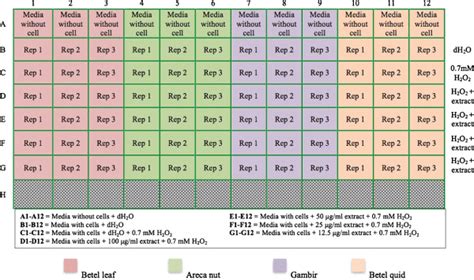 96 Well Plate Data Analysis