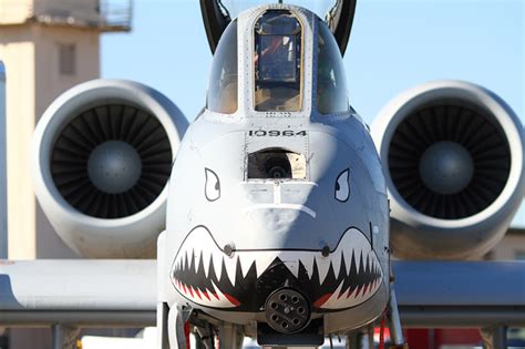 A-10 Nose Art Design 10