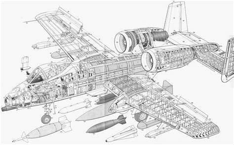 A-10 Warthog drawing 2