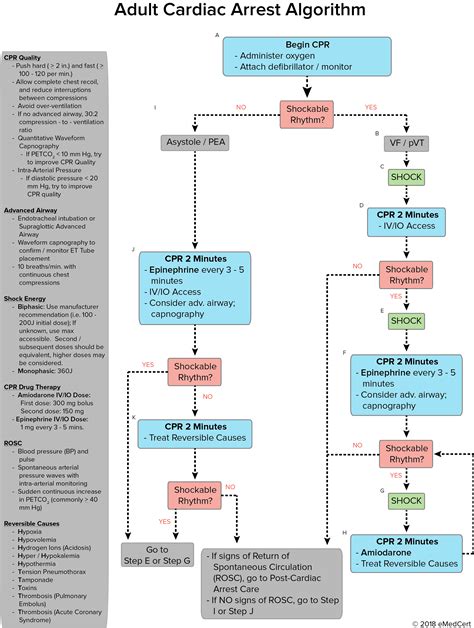 ACLS Algorithms Image