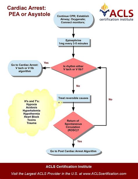 ACLS Intervention Image 10