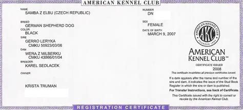 American Kennel Club Registration Papers