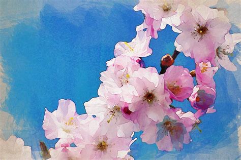 Abstract Cherry Blossom Art 1